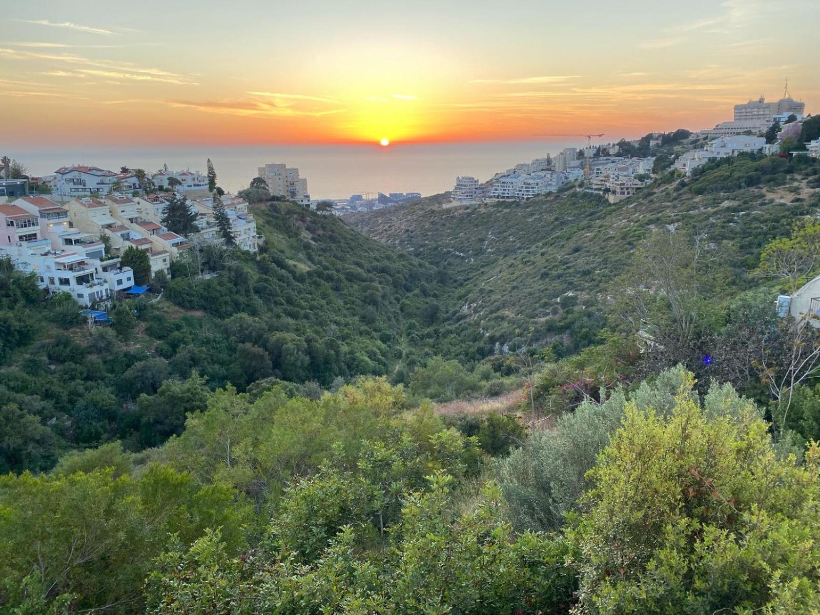 Sea View Carmel Mountain University Haifa Esterno foto